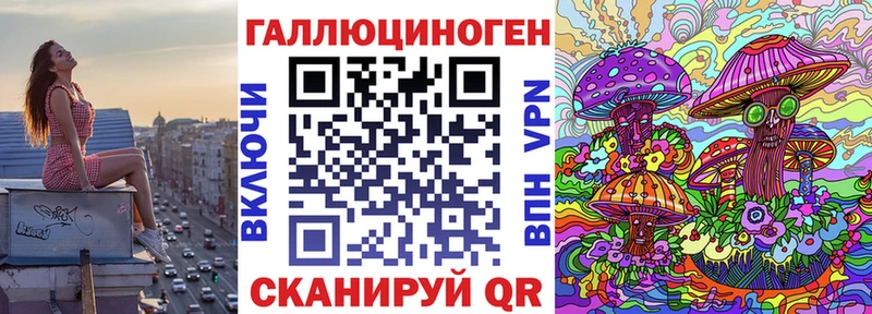 Купить  Ишимбай  Псилоцибиновые грибы мицелий 